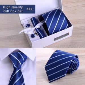 Necktie Blue white diagonal Stripes N09
